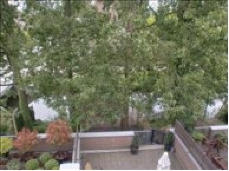 uitzicht vanaf terras