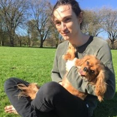 alwyn zoekt een Kamer in Amsterdam